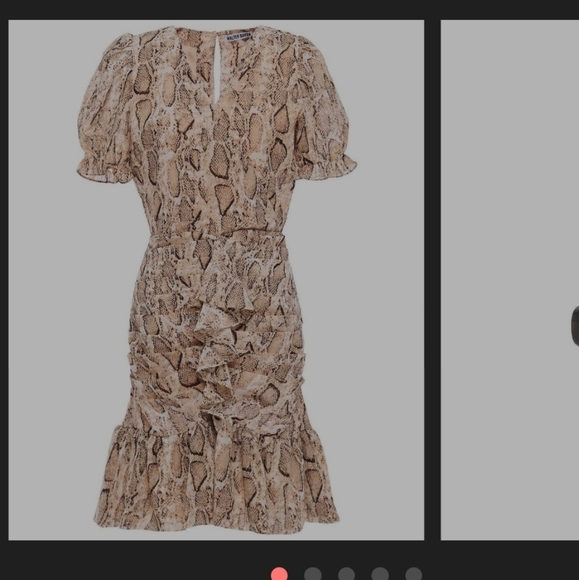 Walter Baker Treyton Dress - Picture 1 of 4